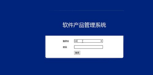 基于Java Web与JSP的软件产品管理系统设计与实现